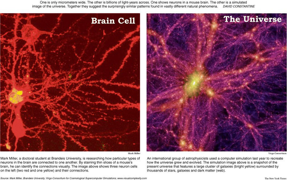 Strukturen i vår hjärna ser exakt ut som den i hela Universum. Tillfällighet?
